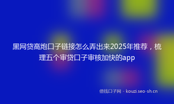 黑网贷高炮口子链接怎么弄出来2025年推荐，梳理五个审贷口子审核加快的app