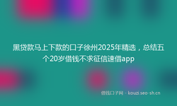黑贷款马上下款的口子徐州2025年精选，总结五个20岁借钱不求征信速借app