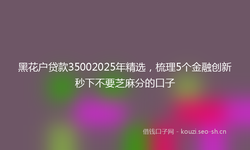 黑花户贷款35002025年精选，梳理5个金融创新秒下不要芝麻分的口子