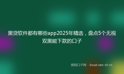 黑贷软件都有哪些app2025年精选，盘点5个无视双黑能下款的口子