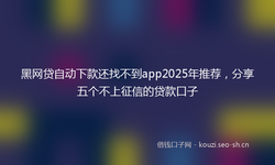 黑网贷自动下款还找不到app2025年推荐，分享五个不上征信的贷款口子