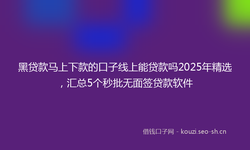 黑贷款马上下款的口子线上能贷款吗2025年精选，汇总5个秒批无面签贷款软件