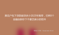 黑花户包下贷款能贷多少2025年推荐，归纳5个金融创新秒下不要芝麻分的软件