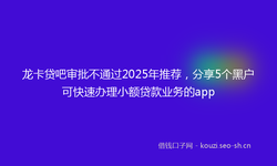 龙卡贷吧审批不通过2025年推荐，分享5个黑户可快速办理小额贷款业务的app