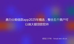 鼎力分期借款app2025年精选，整合五个黑户可以做大额贷款软件