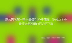 鼎及贷风控审核不通过2025年推荐，罗列五个不看征信无视黑白百分百下款