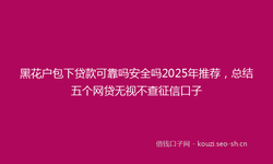 黑花户包下贷款可靠吗安全吗2025年推荐，总结五个网贷无视不查征信口子