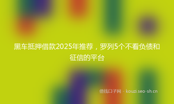 黑车抵押借款2025年推荐，罗列5个不看负债和征信的平台